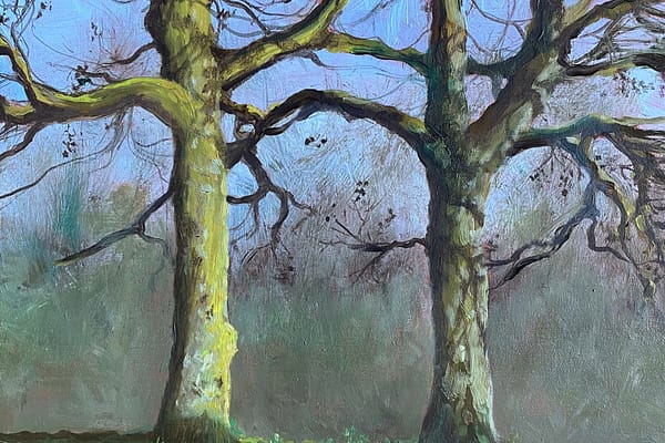 Twee bomen in Heemstede