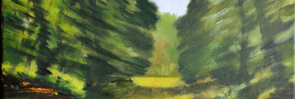 forrest run